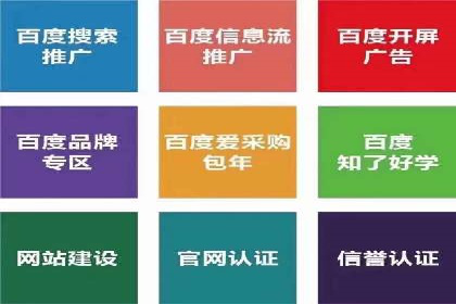 百度竞价推广代运营成功案例：某汽车品牌线上营销策略揭秘